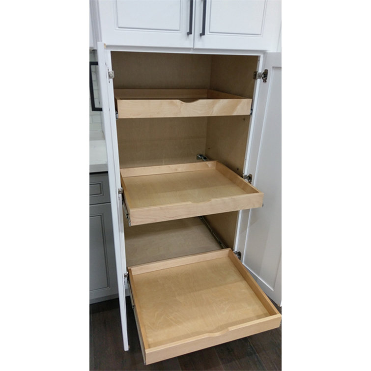 Loon Peak® Daiona Slide Out Shelve Pull Out Sliding Drawer
